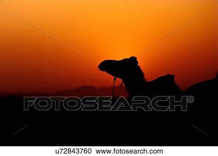 Sunset View Large Photo Image Stock Image - Sunset. Fotosearch
