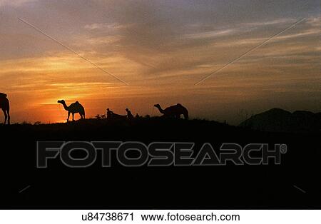 Stock Image - Sunset. Fotosearch