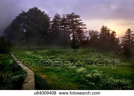 Sunset View Large Photo Image Stock Photo - Sunset. Fotosearch