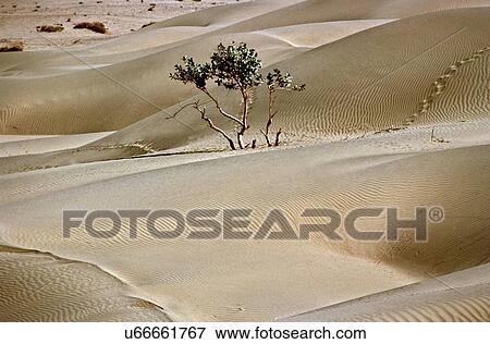 Thar Desert View Large Photo Image Stock Photo - Thar Desert. Fotosearch