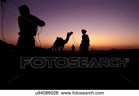 The silhouette of herdsmen View Large Photo Image Stock Photo - The silhouette of herdsmen. Fotosearch