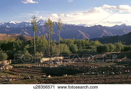 Tilled fields View Large Photo Image Stock Image - Tilled fields. Fotosearch
