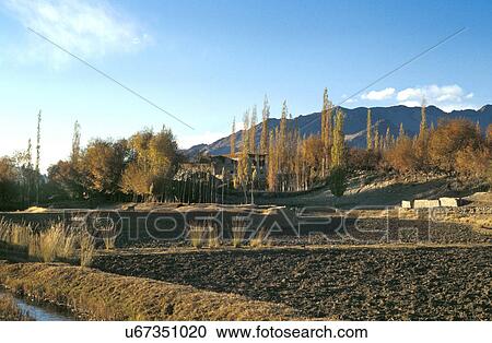 Stock Image - Tilled fields. Fotosearch