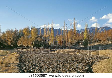 Tilled fields View Large Photo Image Stock Photo - Tilled fields. Fotosearch