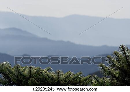 View of Kangchenjunga mountains View Large Photo Image Stock Photography - View of Kangchenjunga mountains . Fotosearch