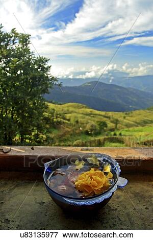 View of Singalila National Park View Large Photo Image Stock Photo - View of Singalila National Park . Fotosearch