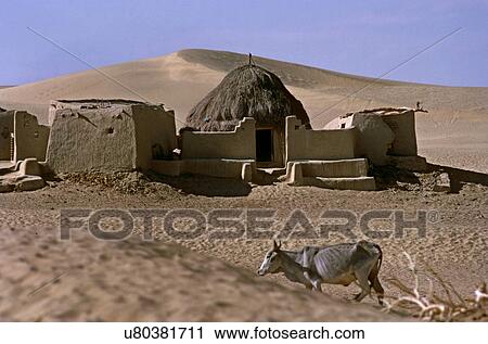 Village in the dunes View Large Photo Image Stock Image - Village in the dunes. Fotosearch