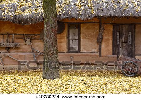 Autumn color at Namsangol traditional folk village, Seoul, South Korea View Large Photo Image Picture - Autumn color at Namsangol traditional folk village, Seoul, South Korea. Fotosearch