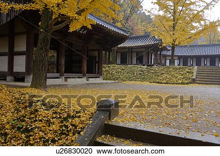 Stock Image - Autumn color at Namsangol traditional folk village, Seoul, South Korea. Fotosearch
