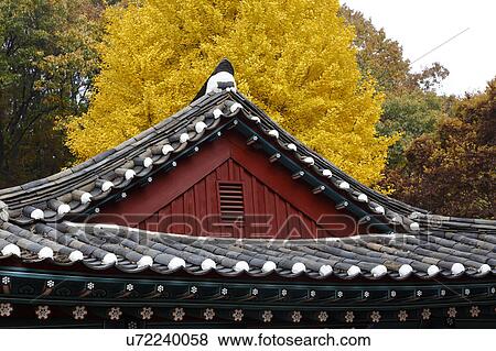 Autumn color at Namsangol traditional folk village, Seoul, South Korea View Large Photo Image Stock Photo - Autumn color at Namsangol traditional folk village, Seoul, South Korea. Fotosearch