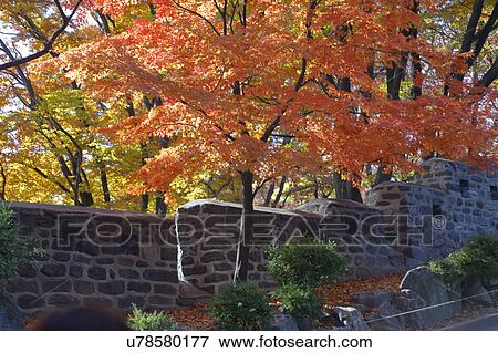 Stock Photo - Autumn color from view from Seoul Tower hilltop, Seoul South Korea - Asia. Fotosearch