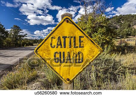 Stock Image - Cattle Guard Road sign outside of Ridgway, Colorado warns people of open range grazing. Fotosearch