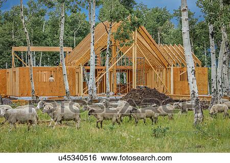 Stock Photograph - Construction of a "A" Frame House owned by photographer Joe Sohm, Ridgway, Colorado. Fotosearch
