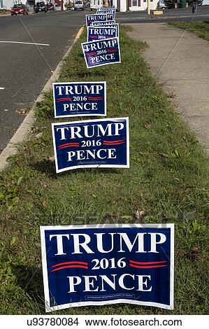 Picture - Donald Trump lawn signs line Virginia roadway before election. Fotosearch