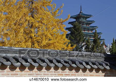 Stock Image - Gyeongbokgung Palace, Grand Palce Seoul, South Korea, Asia. Fotosearch