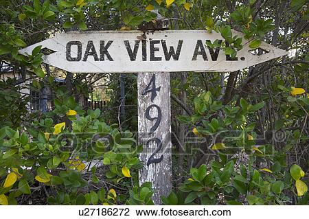 Oak View, California, USA, December 15, Oak View Avenue road sign View Large Photo Image Stock Image - Oak View, California, USA, December 15, Oak View Avenue road sign. Fotosearch