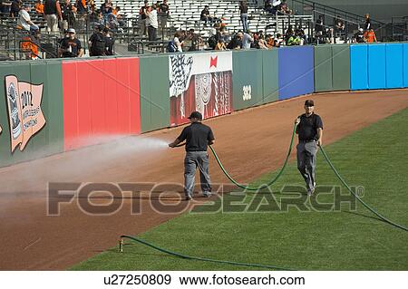 Stock Photo - San Francisco, California, USA, October 16, 2014, AT&T Park, baseball stadium, SF Giants versus St. Louis Cardinals, National League Championship Series (NLCS), grounds crew squirts field. Fotosearch
