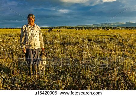 Stock Photography - Sheep herder from South America unload sheep on Hastings Mesa near Ridgway, Colorado from truck. Fotosearch