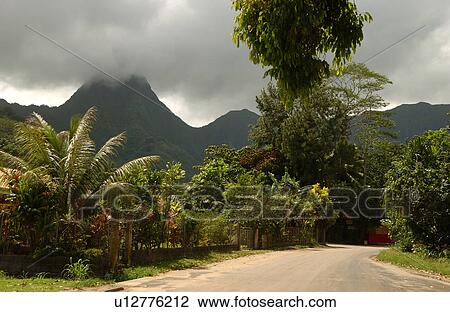 A country road with vegetation on its sides View Large Photo Image Stock Image - A country road with vegetation on its sides. Fotosearch