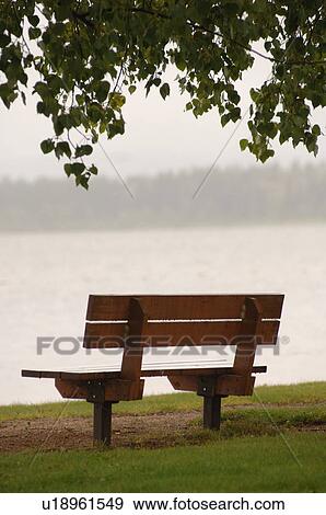 Stock Photo - Bench under tree. Fotosearch