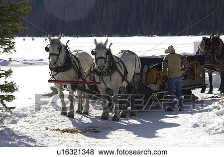Lake Louise, Alberta, Canada View Large Photo Image Stock Photo - Lake Louise, Alberta, Canada. Fotosearch