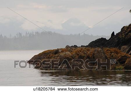 Low cloud over ocean, Pacific Rim National Park, Vancouver Island, Canada View Large Photo Image Picture - Low cloud over ocean, Pacific Rim National Park, Vancouver Island, Canada. Fotosearch