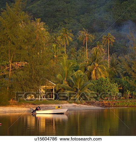 Stock Photograph - Motor boat at shore at Moorea in Tahiti. Fotosearch
