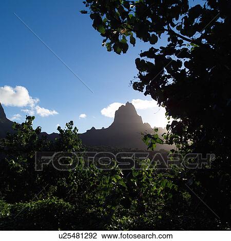 Stock Image - Mountain Peak against Blue Sky at Moorea in Tahiti. Fotosearch