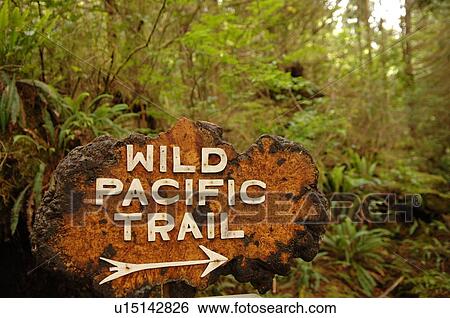 Wild Pacific Trail direction sign, Pacific Rim National Park, Vancouver Island, Canada View Large Photo Image Stock Photograph - Wild Pacific Trail direction sign, Pacific Rim National Park, Vancouver Island, Canada. Fotosearch