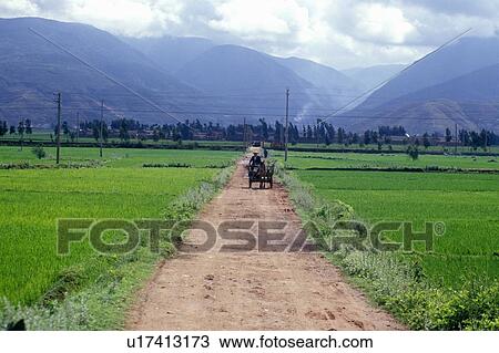 Stock Image - Horse drawn cart heading down road in Dali, Yunnan Province, People's Republic of China. Fotosearch