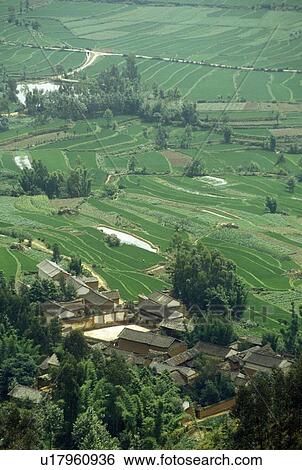 Stock Photograph - Terraced rice fields near village . Fotosearch