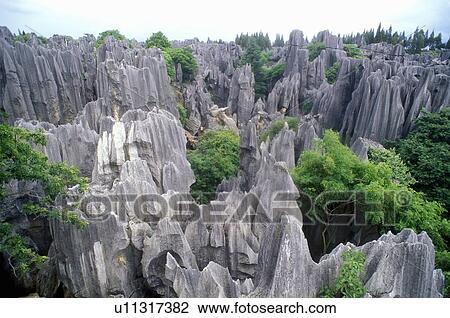 Stock Image - The Stone Forest. Fotosearch