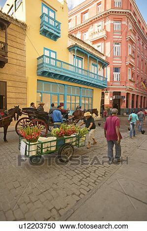 A flower cart in Old Havana View Large Photo Image Stock Image - A flower cart in Old Havana. Fotosearch