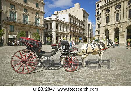 A horse and carriage in the plaza of Old Havana View Large Photo Image Stock Photo - A horse and carriage in the plaza of Old Havana. Fotosearch