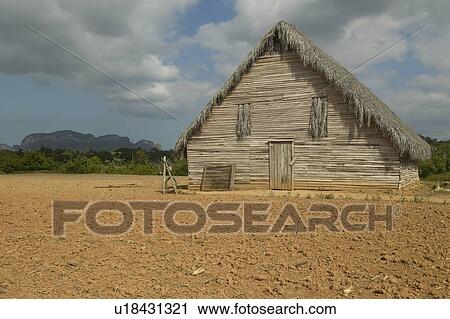 Farm field with barn in central Cuba View Large Photo Image Stock Image - Farm field with barn in central Cuba. Fotosearch