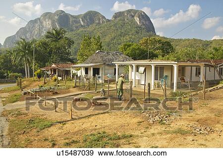 Stock Photo - Small houses in front of limestone mountains in the Valle de Viñales in central Cuba. Fotosearch