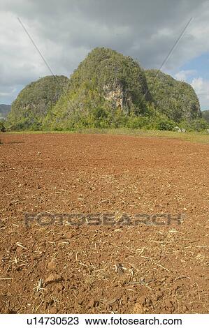 Stock Image - The Valle de Viñales, in central Cuba. Fotosearch