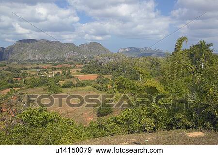 Stock Photo - Tropical view of the Valle de Viñales central Cuba. Fotosearch