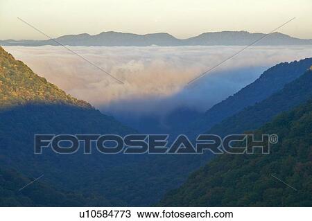 Morning fog at sunrise in Babcock State Park View Large Photo Image Stock Image - Morning fog at sunrise in Babcock State Park. Fotosearch