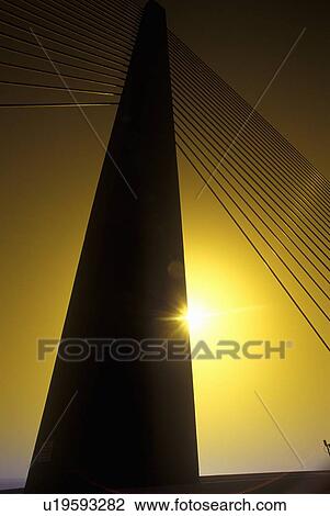 Tampa Sunshine Skyway Bridge, world's longest cable-stayed concrete bridge, Tampa Bay, Florida View Large Photo Image Stock Image - Tampa Sunshine Skyway Bridge, world's longest cable-stayed concrete bridge, Tampa Bay, Florida. Fotosearch