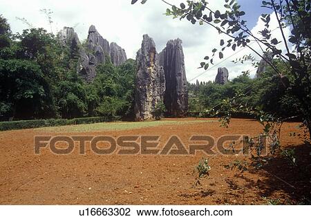 Stock Image - The Stone Forest near Kunming, People's Republic of China. Fotosearch