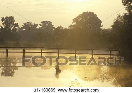 Walking Bridge in the Mist, Louisiana View Large Photo Image Stock Photo - Walking Bridge in the Mist, Louisiana. Fotosearch
