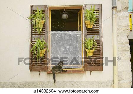 Cat in window View Large Photo Image Picture - Cat in window. Fotosearch