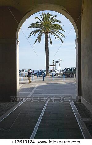 Palm tree near beach View Large Photo Image Picture - Palm tree near beach. Fotosearch