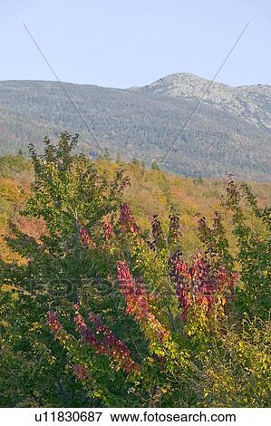 Crawford Notch State Park View Large Photo Image Stock Photo - Crawford Notch State Park. Fotosearch