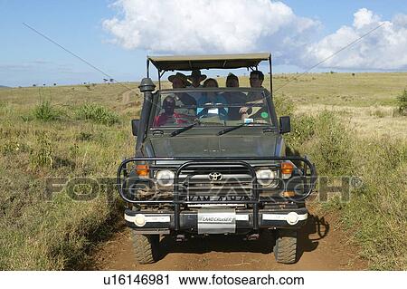 Landrover and Safari Group looking for animals in Masai Mara near Little Governor's camp, Kenya, Africa View Large Photo Image Stock Image - Landrover and Safari Group looking for animals in Masai Mara near Little Governor's camp, Kenya, Africa. Fotosearch