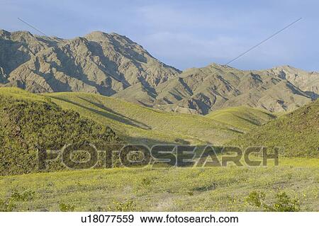 Mountain view in Death Valley National Park, CA View Large Photo Image Stock Photo - Mountain view in Death Valley National Park, CA. Fotosearch