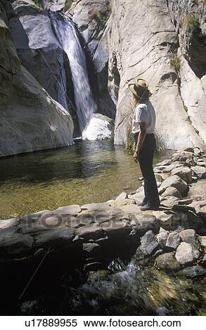 Waterfall in Palm Springs View Large Photo Image Stock Photography - Waterfall in Palm Springs. Fotosearch