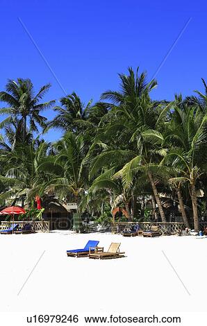Stock Photograph - Beach chairs on the beach. Fotosearch