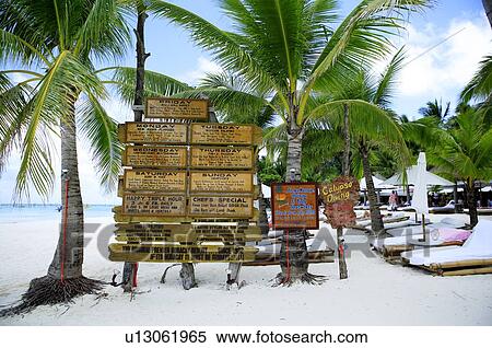 Stock Photography - Signs leaning against palm trees. Fotosearch